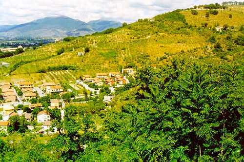 The Umbrian countryside. Photo: Bill Newman