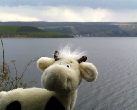 Fun at the Bouncy Castle Research Centre, Loch Ness, Scotland